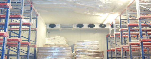 바닥에서 천장까지 랙(rack)을 설치한 냉동 창고의 전기 장치와 스프링클러 헤드는 포크 호이스트의 이동으로 손상 위험이 매우 큽니다.