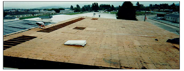 단단한 지붕 데크 기판인 합판